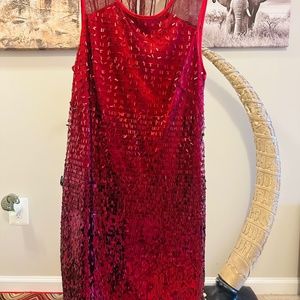 Red Shinmer Dress